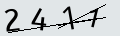 verifycode